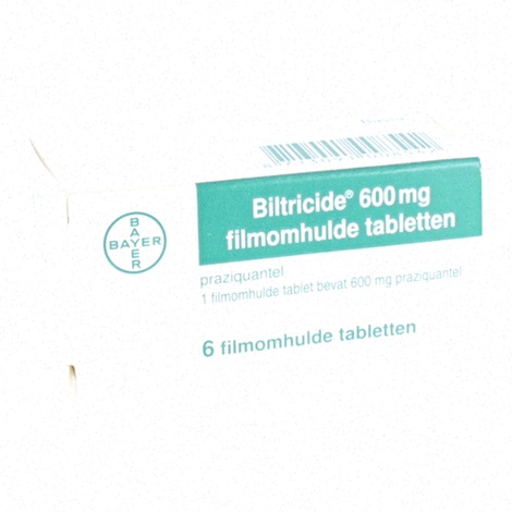 Biltricide en ligne – illustration de plaquettes de comprimés